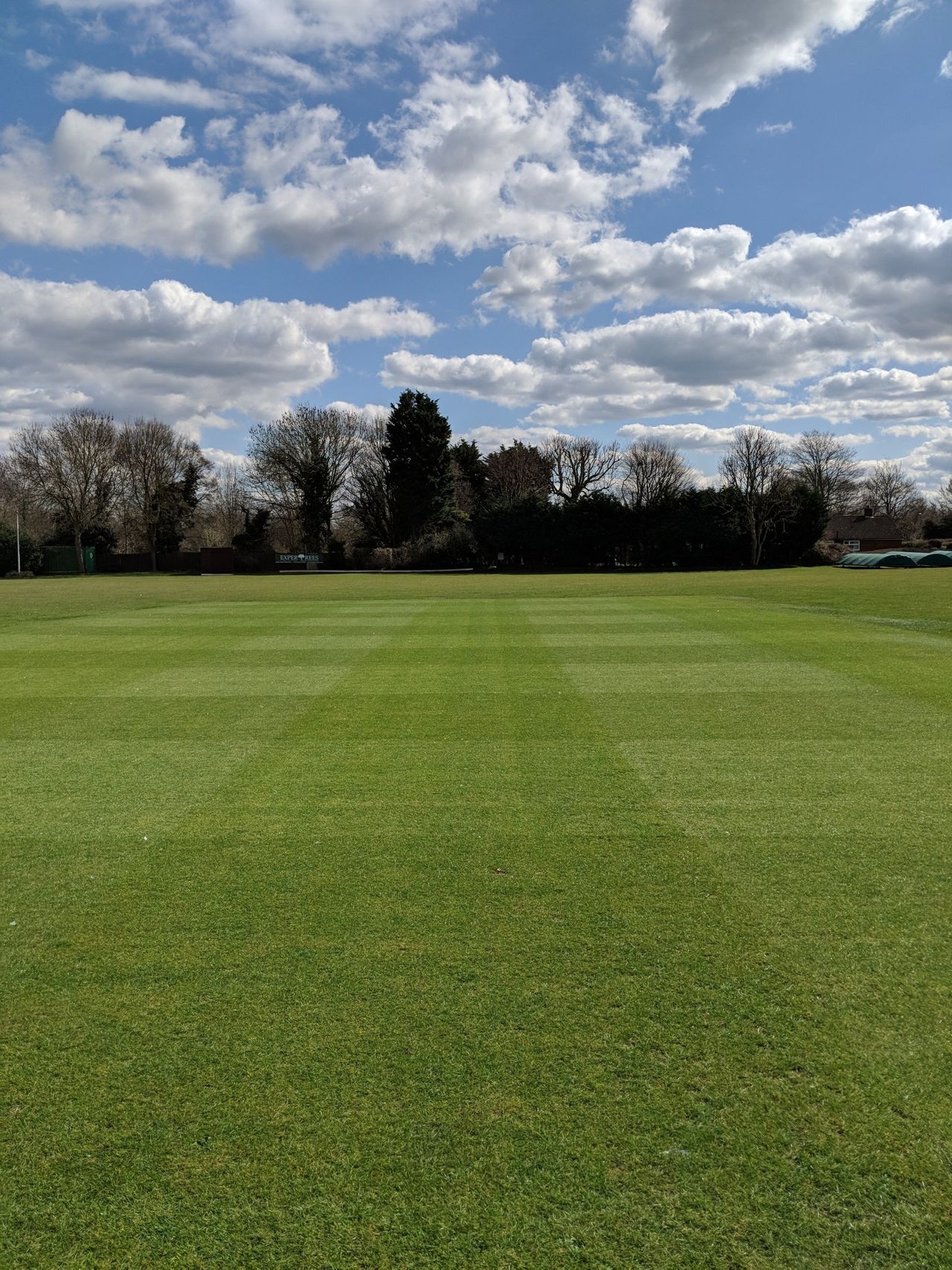 Sports ground contractors at Surrey Sports Turf Sports turf
